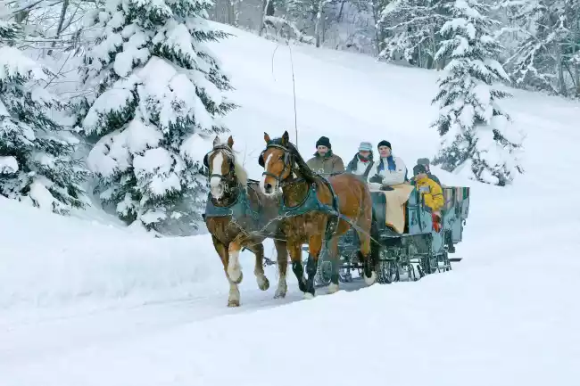 Urlaub in Pfronten im Allgäu