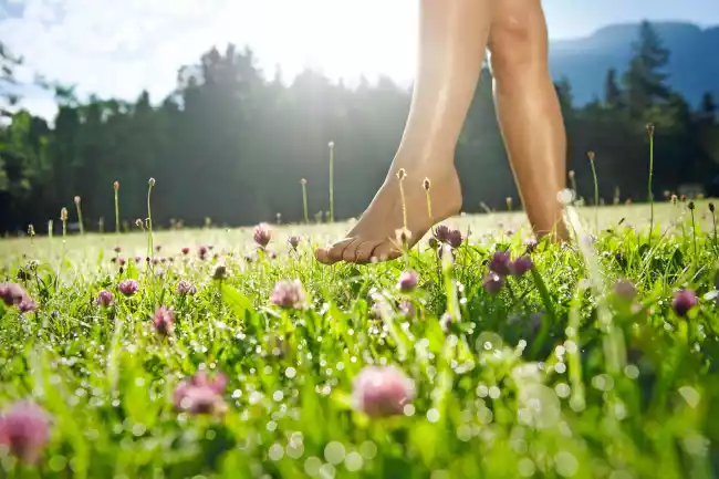 Urlaub in Pfronten im Allgäu