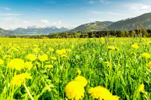 Ferienwohnungen Haus Kornelia in Pfronten