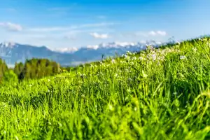 Ferienwohnungen Haus Kornelia in Pfronten