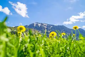 Ferienwohnungen Haus Kornelia in Pfronten