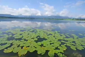Ferienwohnungen Haus Kornelia in Pfronten