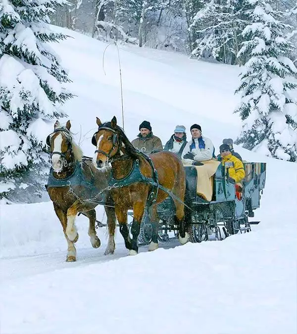 Pferdeschlitten im Allgäu