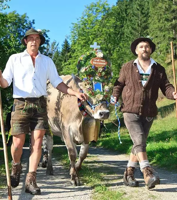 Pfrontener Viehscheid