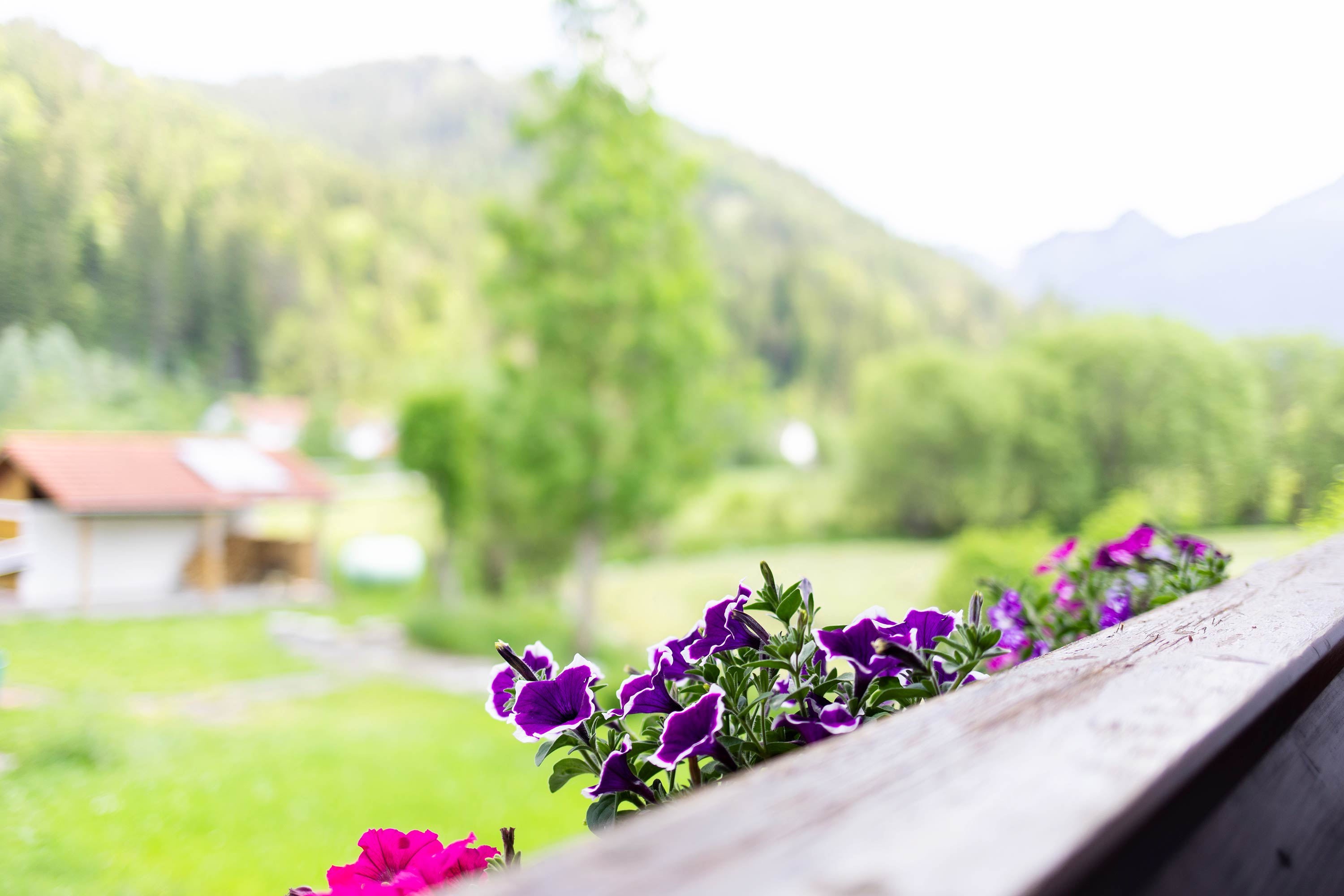 Haus Kornelia - Ferienwohnungen im Allgäu